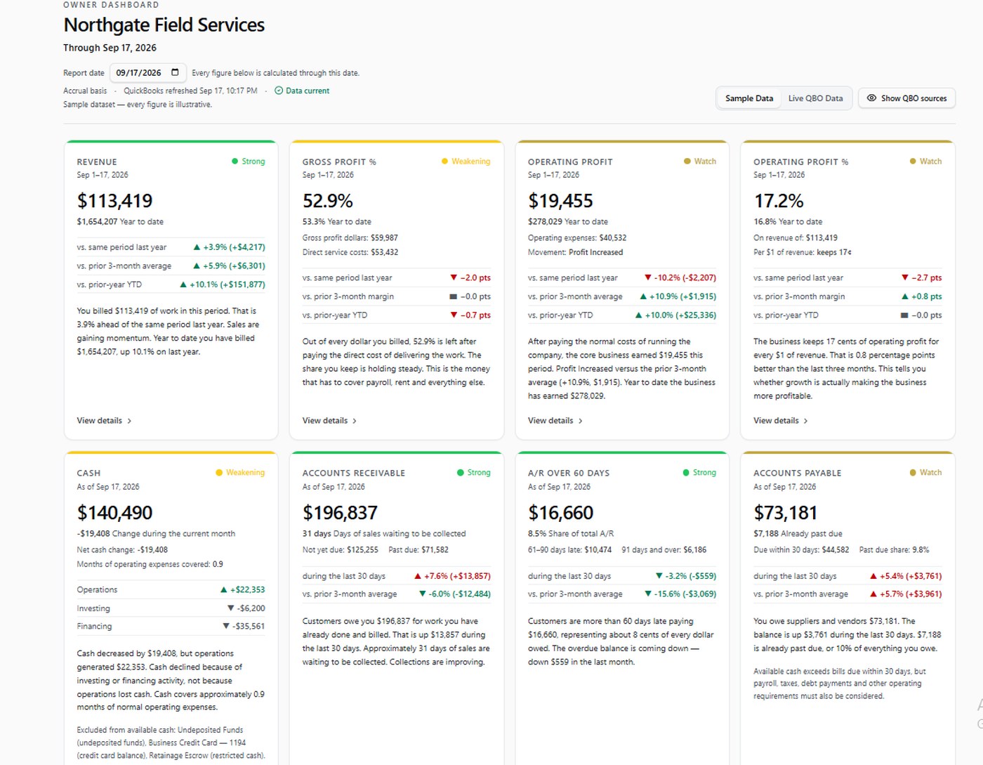Full Owner Dashboard showing revenue, gross profit, operating profit, cash, receivables and payables